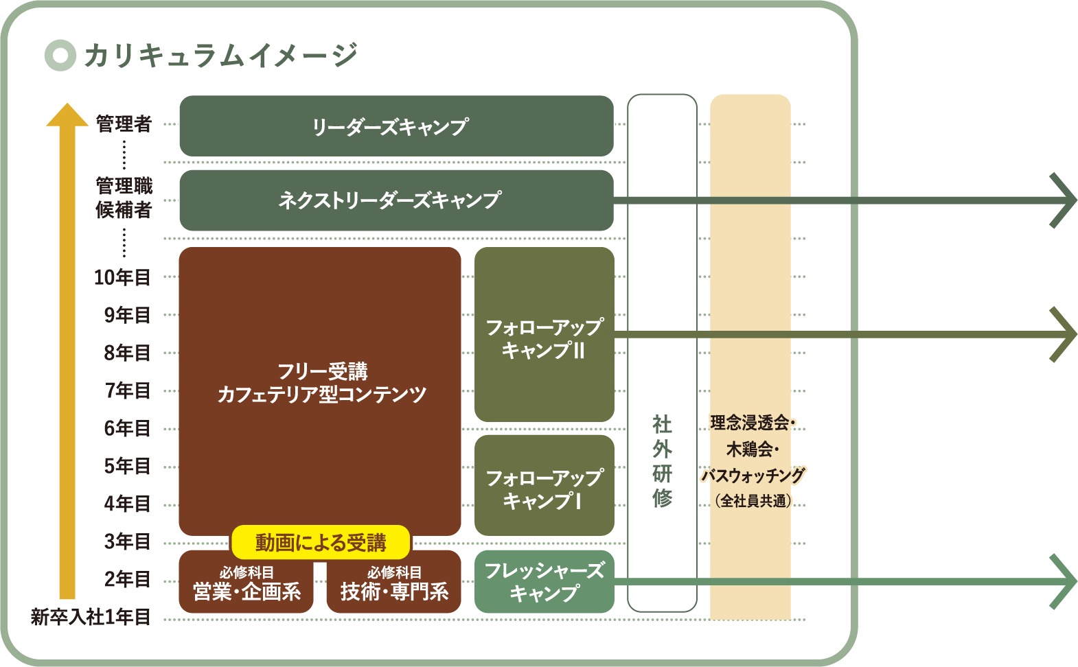カリキュラムイメージ